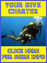 dive charters